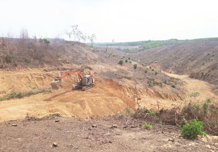 KDC Phú An Lành đa số có nguồn gốc từ đất rừng sản xuất và đất trồng cây lâu năm (ảnh: Lê Thuận)
