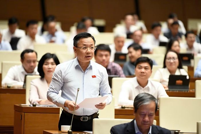 Đại biểu Trần Thanh Hà. Ảnh: Như Ý.