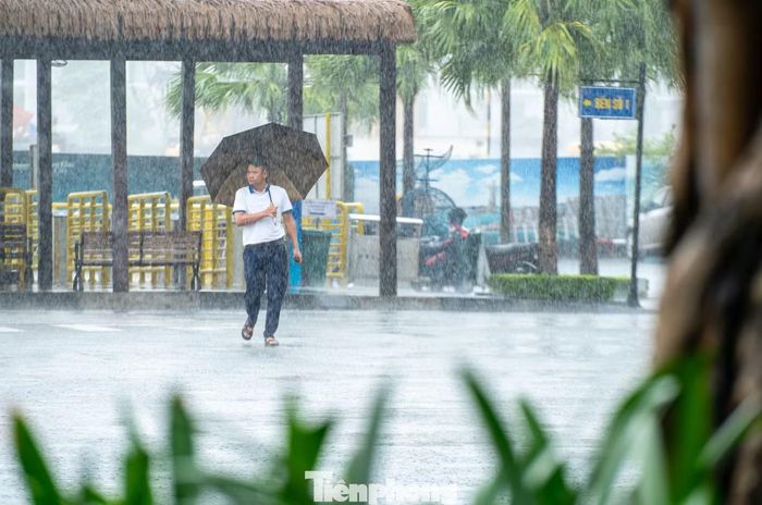 Riêng Quảng Ninh và Hải Phòng có mưa 250-350mm, cục bộ trên 600mm. Lạng Sơn và Bắc Ninh 200-300mm, cục bộ trên 500mm. Sau đêm 24/8, mưa diện rộng vẫn có khả năng kéo dài tại Bắc Bộ và Thanh Hóa.