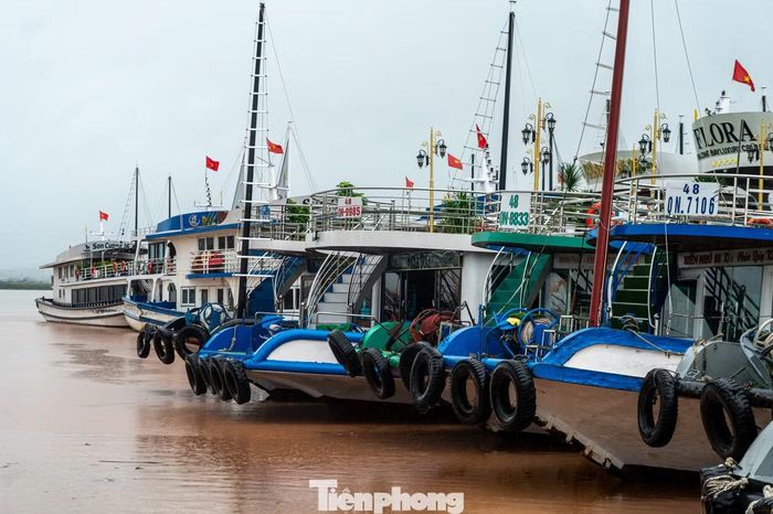 "Nhận tin bão số 4, tôi đã chủ động cho tàu di chuyển về khu neo đậu, ngay sau đó liền buộc dây lên trên bờ, gia cố và ghép mạn tàu vào những phương tiện khác. Trên tàu tôi hiện có 2 người thay nhau túc trực đến khi hết bão số 4 thì mới hoạt động trở lại", anh Dũng chia sẻ.