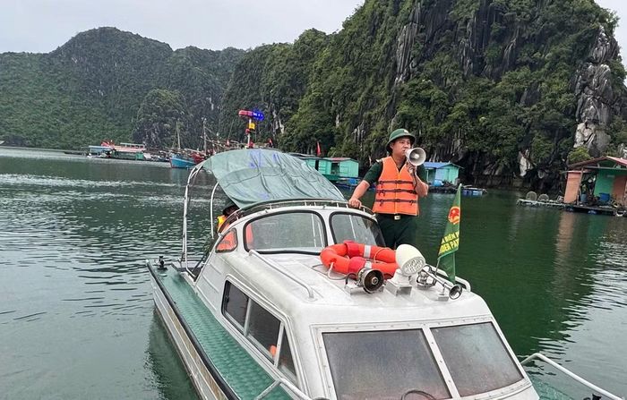 Tại đảo Cát Bà, Đặc khu Cát Hải đã thông báo cấm các phương tiện tàu du lịch, tàu thuyền khai thác thủy sản ra khơi; cấm hoạt động vui chơi giải trí, hoạt động khai thác, nuôi trồng thủy sản...
