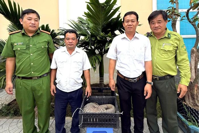 Công an phường Bình Minh bàn giao cá thể tê tê cho cơ quan chức năng.