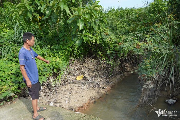 Dọc hai bên bờ khe nước, vệt trắng bám trên lá cây và mỏm đá. Ảnh: T.T