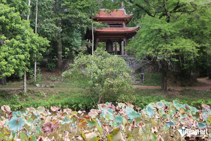 Tháp chuông nằm cạnh hồ sen, ẩn dưới những tán cây, tạo nên một góc trầm mặc của Tổ đình Từ Hiếu.