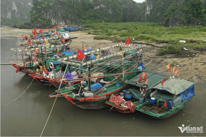 Quảng Ninh tạm ngừng tàu thuyền ra khơi. Ảnh: Phạm Công