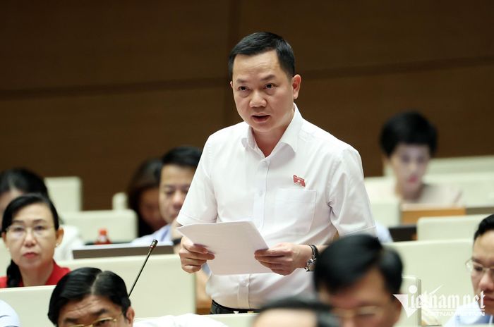 Đại biểu Trịnh Xuân An 