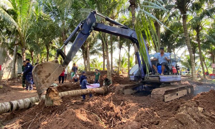 Lực lượng Đội K91 tìm kiếm hài cốt liệt sĩ tại khu vườn dừa rộng khoảng 2.500m2 ở xã Tân Thành. Ảnh: Linh Thanh