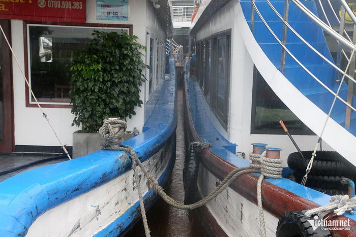 Các tàu được buộc vào nhau khi neo đậu tại khu tránh trú bão. Ảnh: Phạm Công