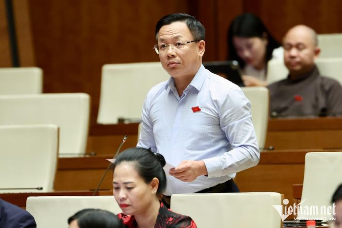 Đại biểu Trần Thanh Hà