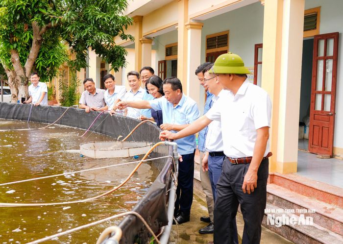 Đoàn kiểm tra mô hình nuôi tôm của Trạm giống thủy sản - Trung tâm Khuyến nông tỉnh Nghệ An. Ảnh: T.L