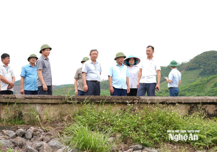 Đoàn công tác kiểm tra Đập Đình Du tại xã Hùng Châu. Ảnh: T.L