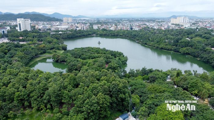 Đô thị Vinh có hàng chục ngàn cây xanh các loại. Ảnh: Quang An