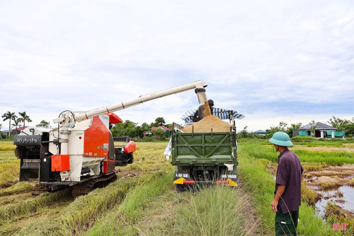  Hiện nay, không khí thu hoạch cũng diễn ra khẩn trương trên nhiều cánh đồng ở xã Yên Hòa. Bà con chủ động huy động nhân lực, phương tiện để đưa lúa về nhà an toàn. Đến nay, toàn xã đã thu hoạch khoảng 300 ha, đạt 40% diện tích lúa hè thu. Ảnh Fanpage Thông tin xã Yên Hòa. 