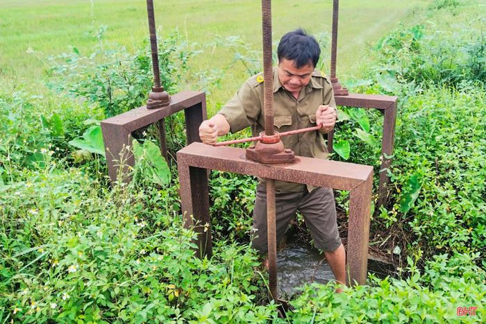 Cùng với việc đẩy nhanh tiến độ, các địa phương tập trung triển khai các phương án tiêu thoát nước, khơi thông dòng chảy, không để nước ứ đọng kéo dài ảnh hưởng đến diện tích lúa chưa thu hoạch.
