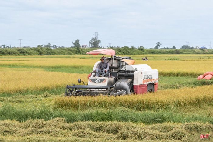 Ông Phan Văn Huân - Trưởng phòng Trồng trọt, Chi cục Trồng trọt và Chăn nuôi Hà Tĩnh cho biết: “Đối với diện tích bị ngập úng, các địa phương cần khẩn trương khơi thông dòng chảy, tiêu thoát nước để hạn chế thiệt hại. Đồng thời, tranh thủ thời tiết thuận lợi, tập trung đẩy nhanh tiến độ thu hoạch, bố trí và điều tiết máy gặt hợp lý, thống nhất giá dịch vụ. Bên cạnh đó, cần chủ động kết nối với doanh nghiệp, tổ chức, cá nhân để hỗ trợ tiêu thụ lúa cho bà con, phấn đấu hoàn thành thu hoạch sớm, giảm thiểu rủi ro do thiên tai”.
