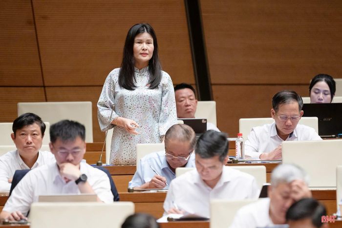 Đại biểu Bùi Thị Quỳnh Thơ - Phó Chủ nhiệm Ủy ban Công tác đại biểu của Quốc hội (Đoàn ĐBQH tỉnh Hà Tĩnh) phát biểu thảo luận.