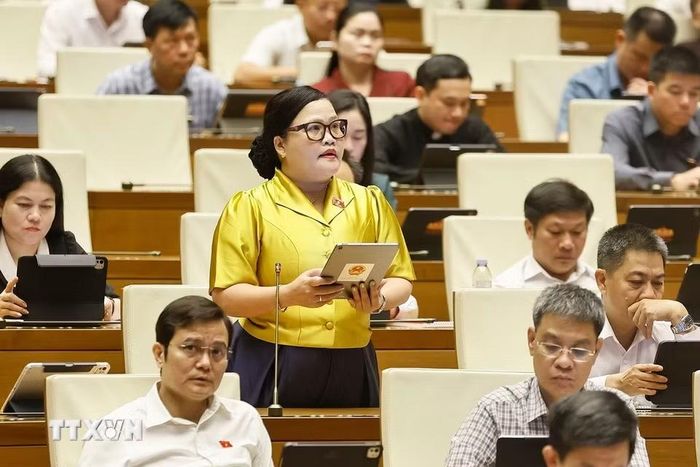 Đại biểu Quốc hội thành phố Huế Nguyễn Thị Sửu phát biểu. (Ảnh: Doãn Tấn/TTXVN)