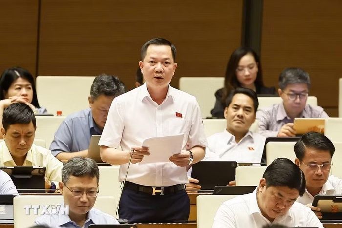 Đại biểu Quốc hội thành phố Đồng Nai Trịnh Xuân An phát biểu. (Ảnh: Doãn Tấn/TTXVN)