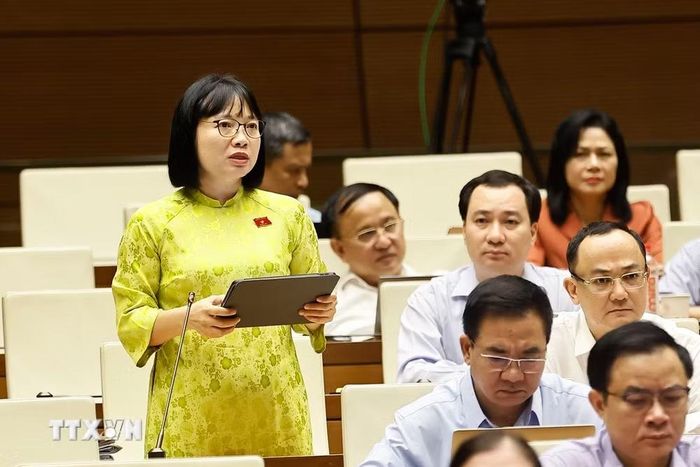 Đại biểu Quốc hội thành phố Hải Phòng Nguyễn Thị Việt Nga phát biểu. (Ảnh: Doãn Tấn/TTXVN)