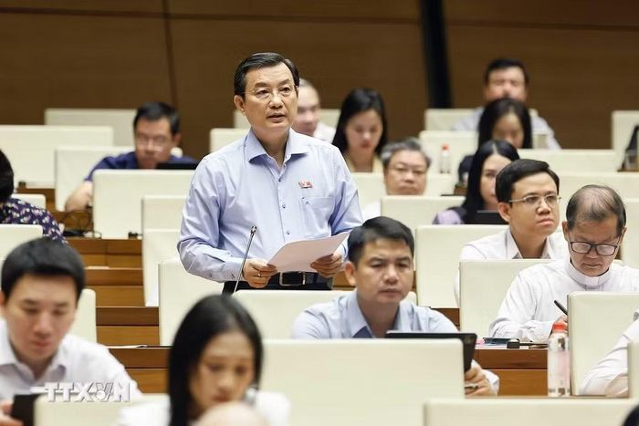 Đại biểu Quốc hội Thành phố Hồ Chí Minh Phạm Trọng Nhân phát biểu. (Ảnh: Doãn Tấn/TTXVN)