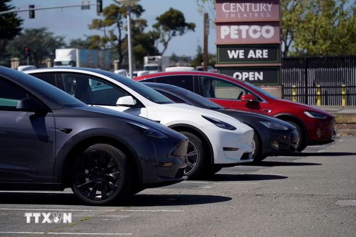 Xe ôtô của Tesla tại bãi đỗ ở San Bruno, California, Mỹ. (Ảnh: THX/TTXVN)