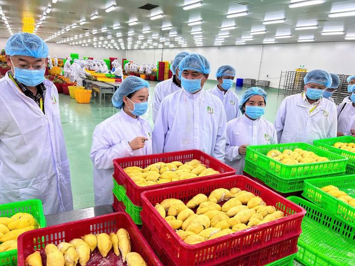 Mở rộng không gian thị trường cho nông sản. (Ảnh: BNNMT)