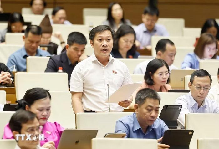 Đại biểu Quốc hội tỉnh Quảng Trị Nguyễn Khánh Vũ phát biểu. (Ảnh: Doãn Tấn/TTXVN)