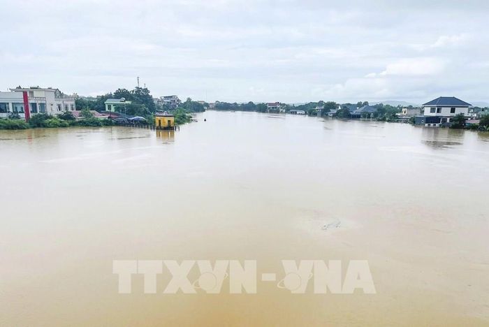 Ảnh tư liệu - minh họa: Hoa Mai/TTXVN