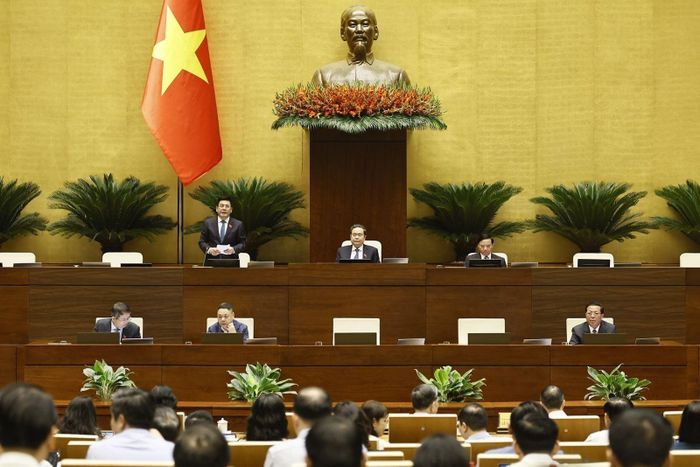 Phó Chủ tịch Quốc hội Nguyễn Hồng Diên điều hành phiên họp. Ảnh: Doãn Tấn/TTXVN