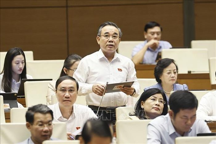 Đại biểu Quốc hội tỉnh Khánh Hòa Lê Hữu Trí phát biểu. Ảnh: Doãn Tấn/TTXVN