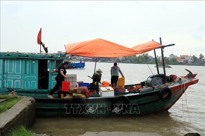 Người dân khu vực bến Chanh, phường Quảng Yên khẩn trương vận chuyển hải sản lên bờ tránh trú bão số 4. Ảnh: Đức Hiếu/TTXVN