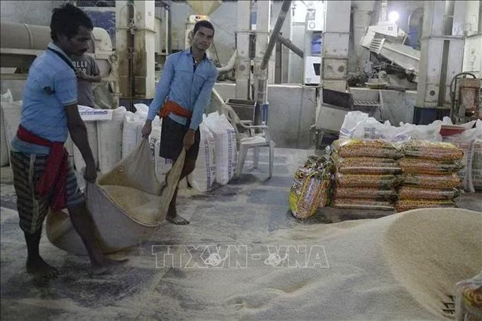 Công nhân vận chuyển gạo tại nhà máy ở Hyderabad, Ấn Độ. Ảnh: AFP/TTXVN