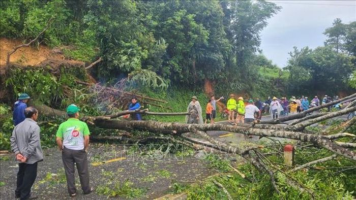 Cây đổ gây ách tắc giao thông trên Quốc lộ 3, đoạn đèo Cao Bắc. Ảnh: TTXVN phát