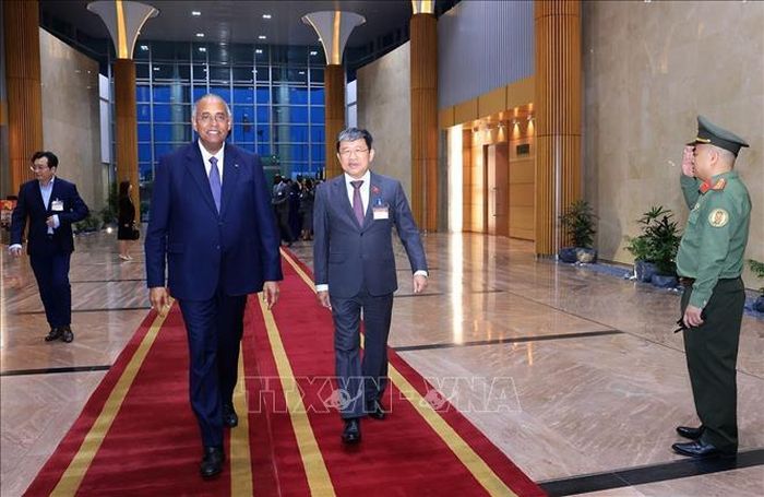 Chủ tịch Quốc hội nước Cộng hòa Côte d’Ivoire Patrick Achi đến sân bay quốc tế Nội Bài. Ảnh: Tuấn Anh/TTXVN