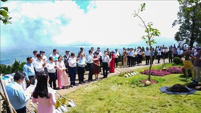 Đoàn Đại sứ quán Trung Quốc và lãnh đạo tỉnh Tây Ninh tham dự Chương trình trao tặng và trồng cây hữu nghị Việt Nam - Trung Quốc tại Khu du lịch quốc gia Núi Bà Đen.