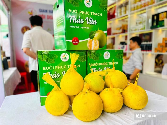 Một trong những sản phẩm tiêu biểu là bưởi Phúc Trạch.