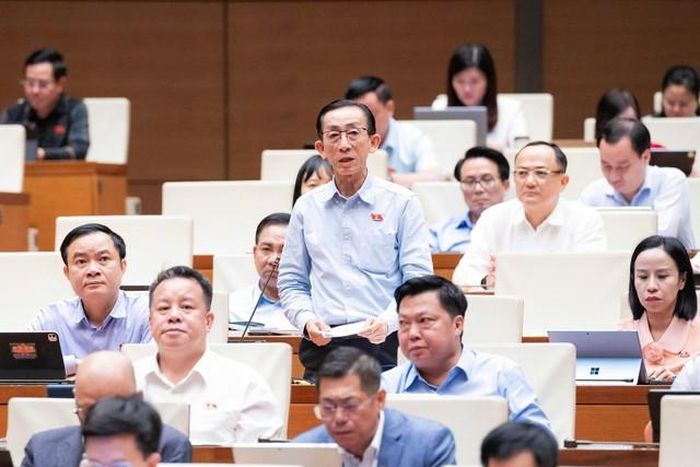 Đại biểu Trần Hoàng Ngân (Ảnh: Media Quốc hội).