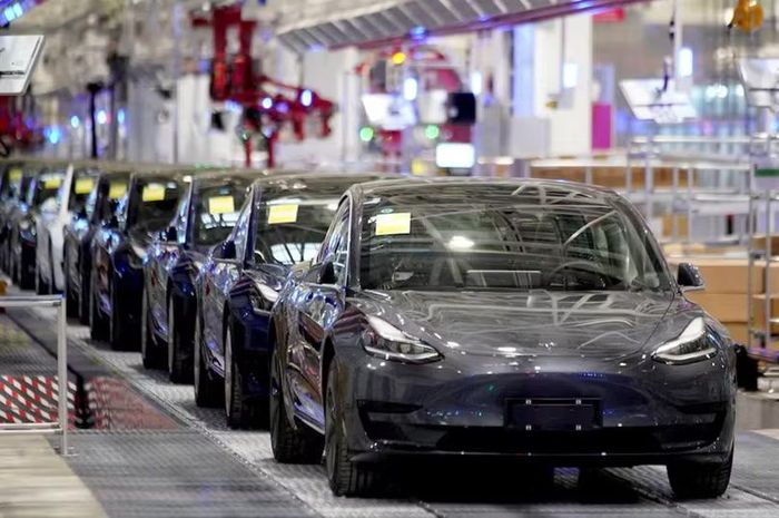 Những chiếc xe Tesla Model 3 sản xuất tại Trung Quốc được chụp trong một sự kiện giao xe tại nhà máy của hãng ở Thượng Hải, Trung Quốc, ngày 7/1/2020. Ảnh: Reuters.