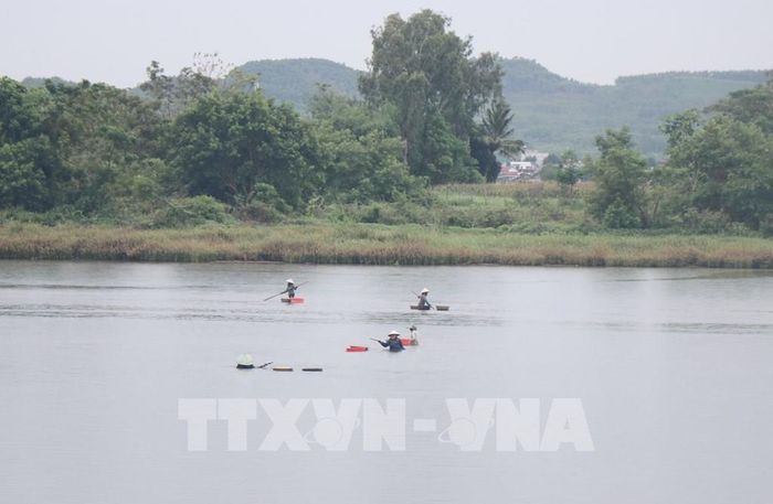 Người dân cào Don khu vực hạ nguồn sông Trà Khúc. Ảnh: Phạm Cường - TTXVN