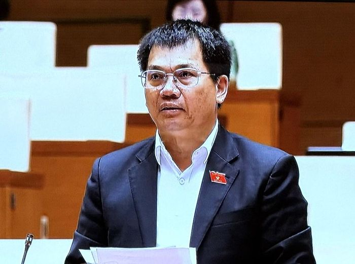 Đại biểu Dương Khắc Mai (Đoàn Lâm Đồng). Ảnh: Bích Hồng/Bnews/vnanet.vn