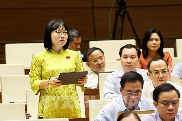 Đại biểu Quốc hội thành phố Hải Phòng Nguyễn Thị Việt Nga phát biểu. Ảnh: Doãn Tấn - TTXVN