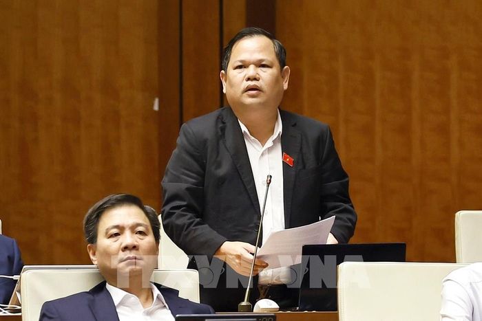 Đại biểu Quốc hội tỉnh Cà Mau Nguyễn Duy Thanh phát biểu. Ảnh: Doãn Tấn - TTXVN