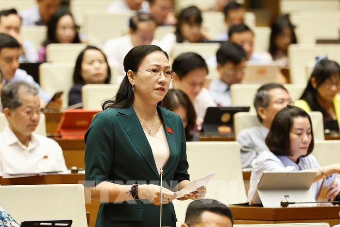 Đại biểu Quốc hội tỉnh Vĩnh Long Nguyễn Thị Yến Nhi phát biểu. Ảnh: Doãn Tấn - TTXVN