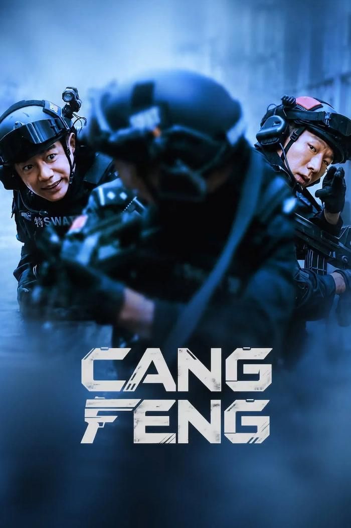 Tàng Phong có sự tham gia của Đoàn Dịch Hoành, Dư Nam và A Như Na, lấy góc nhìn của một cảnh sát làm công việc văn phòng để triển khai câu chuyện điều tra. Ý tưởng này tạo được nét khác biệt nhất định, trong đó diễn xuất của Đoàn Dịch Hoành được đánh giá khá tiết chế và có chiều sâu. Tuy nhiên, một số ý kiến cho rằng kịch bản vẫn còn những điểm thiếu thuyết phục khi tiến trình vụ án đôi lúc dựa vào sự trùng hợp, từ đó làm giảm cảm giác chân thực. Nhân vật cảnh sát đặc nhiệm do A Như Na thể hiện cũng gây tranh luận bởi tính cách được xây dựng khá mạnh, đôi khi chưa tạo được sự phù hợp với môi trường làm việc của một cảnh sát.