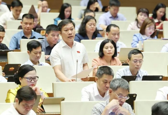 Đại biểu Nguyễn Khánh Vũ, Đoàn ĐQBH tỉnh Quảng Trị, phát biểu