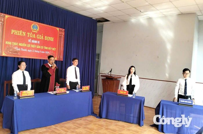 HĐXX tại phiên tòa giả định