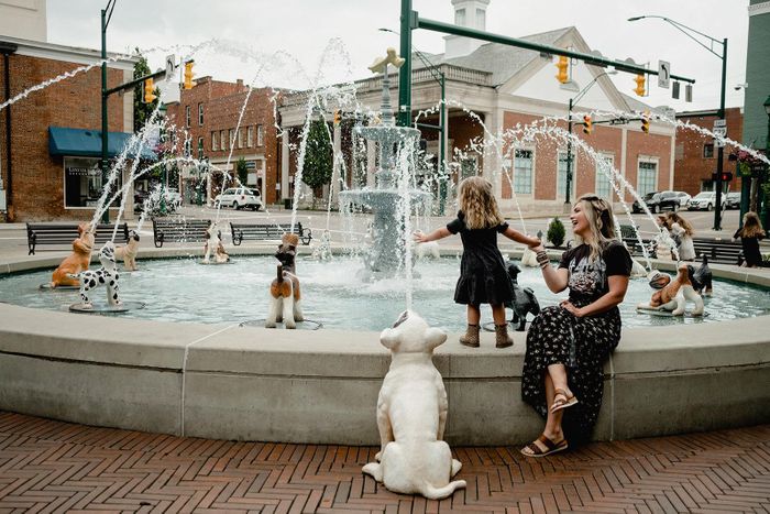 Ảnh: visitknoxohio