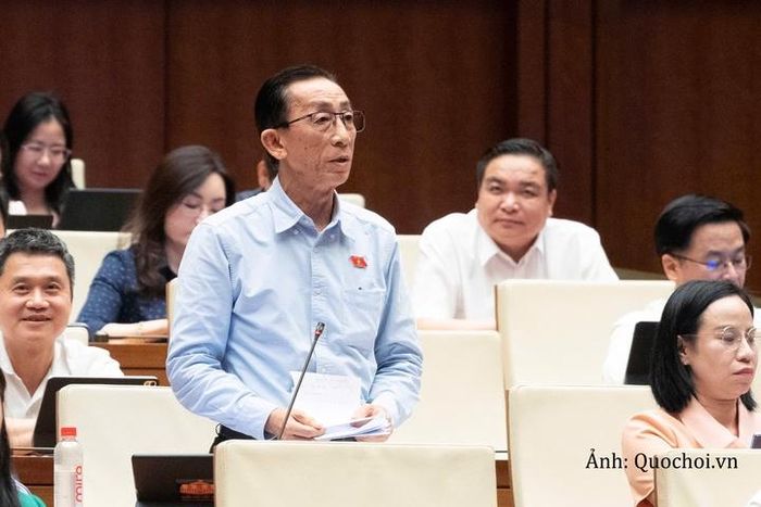 Đại biểu Trần Hoàng Ngân, Đoàn ĐBQH thành phố Hồ Chí Minh phát biểu ý kiến.