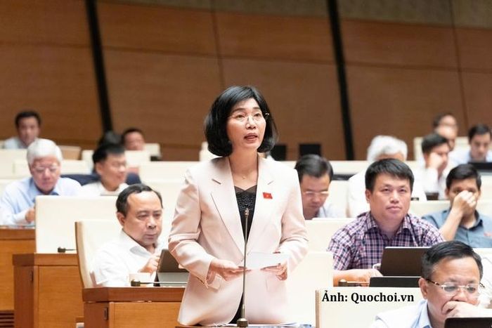 Đại biểu Phùng Thị Hồng Hà, Đoàn ĐBQH thành phố Hà Nội phát biểu.