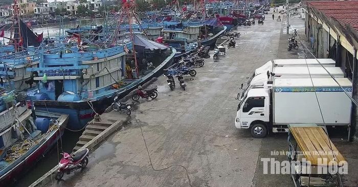 Các tàu thuyền đã về bờ an toàn.